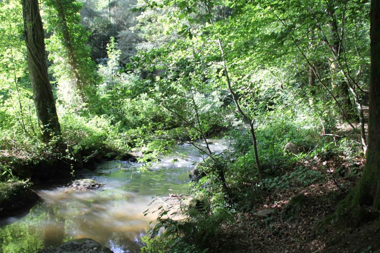 ホテルRelais Le Bocage Pontmain エクステリア 写真